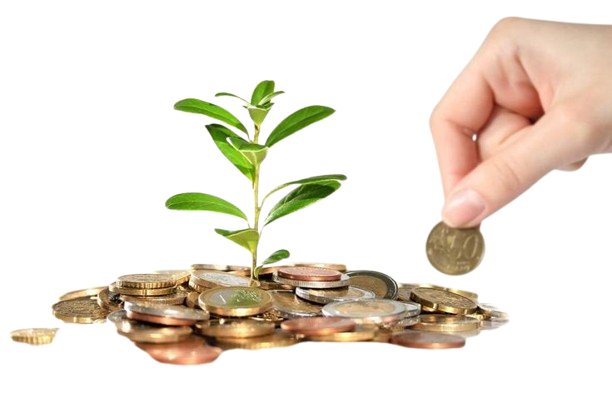 Hand placing a coin near a plant growing from a pile of coins, symbolizing investment and financial growth.